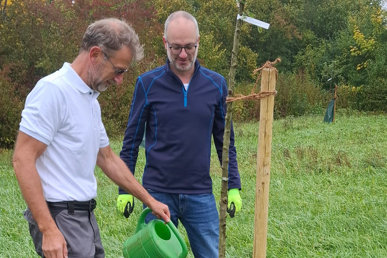 Vorstände Winfried Stahl und Thomas Haag pflanzen einen Baum
