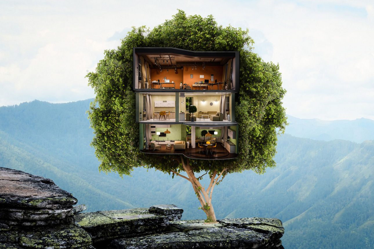 Ein Baum steht auf einem Berg und in der Krone des Baumes befindet sich ein Haus
