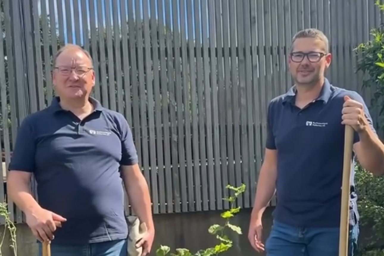  Baumpflanz - Challenge