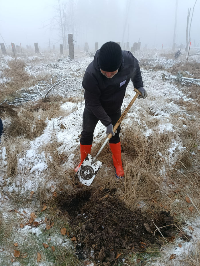 Peter Neuhaus setzt Spatenstich für neue Baumpflanzen