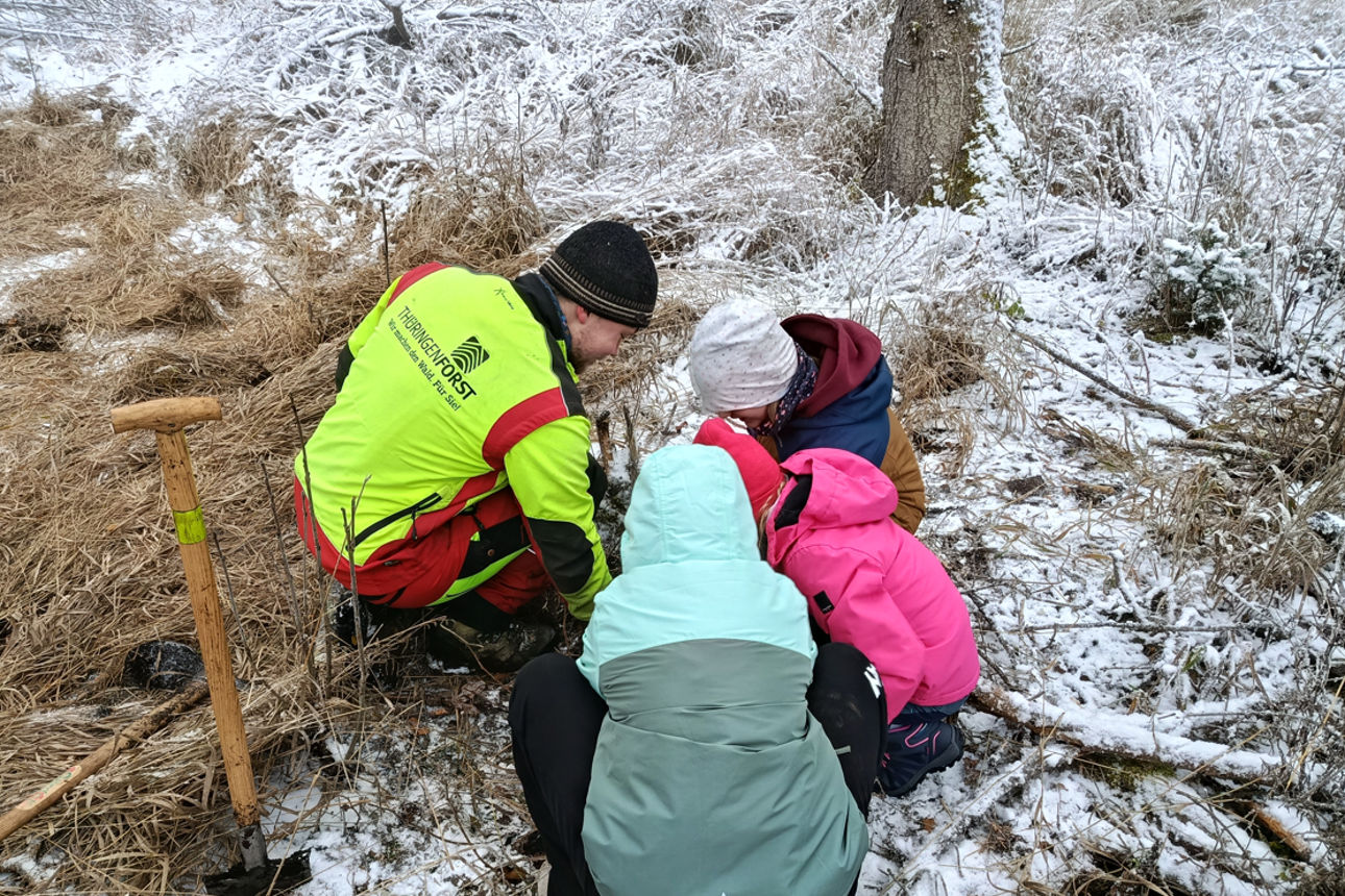 Kinder setzen Bäume im Thüringer Wald