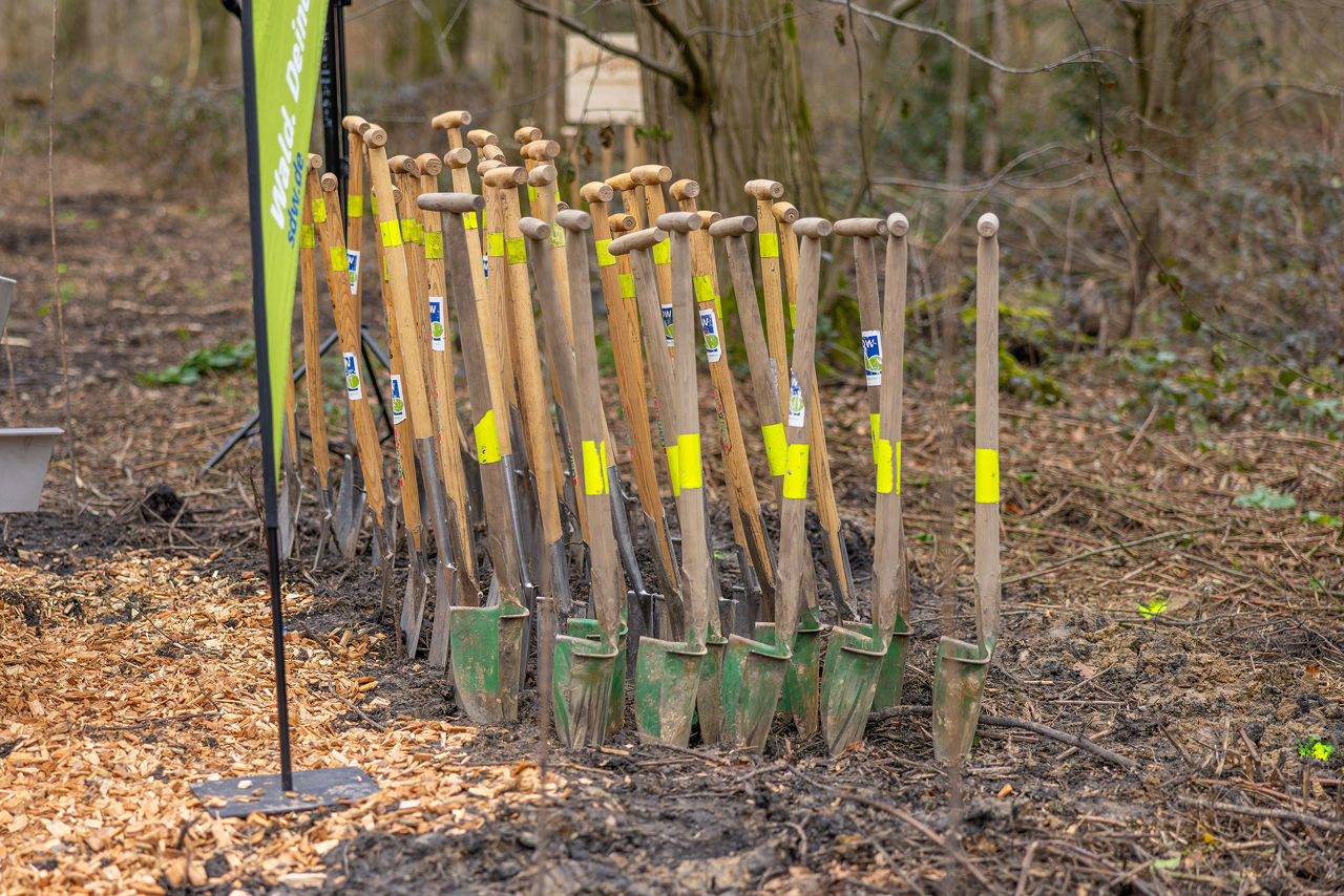 Schaufeln stecken in der Erde