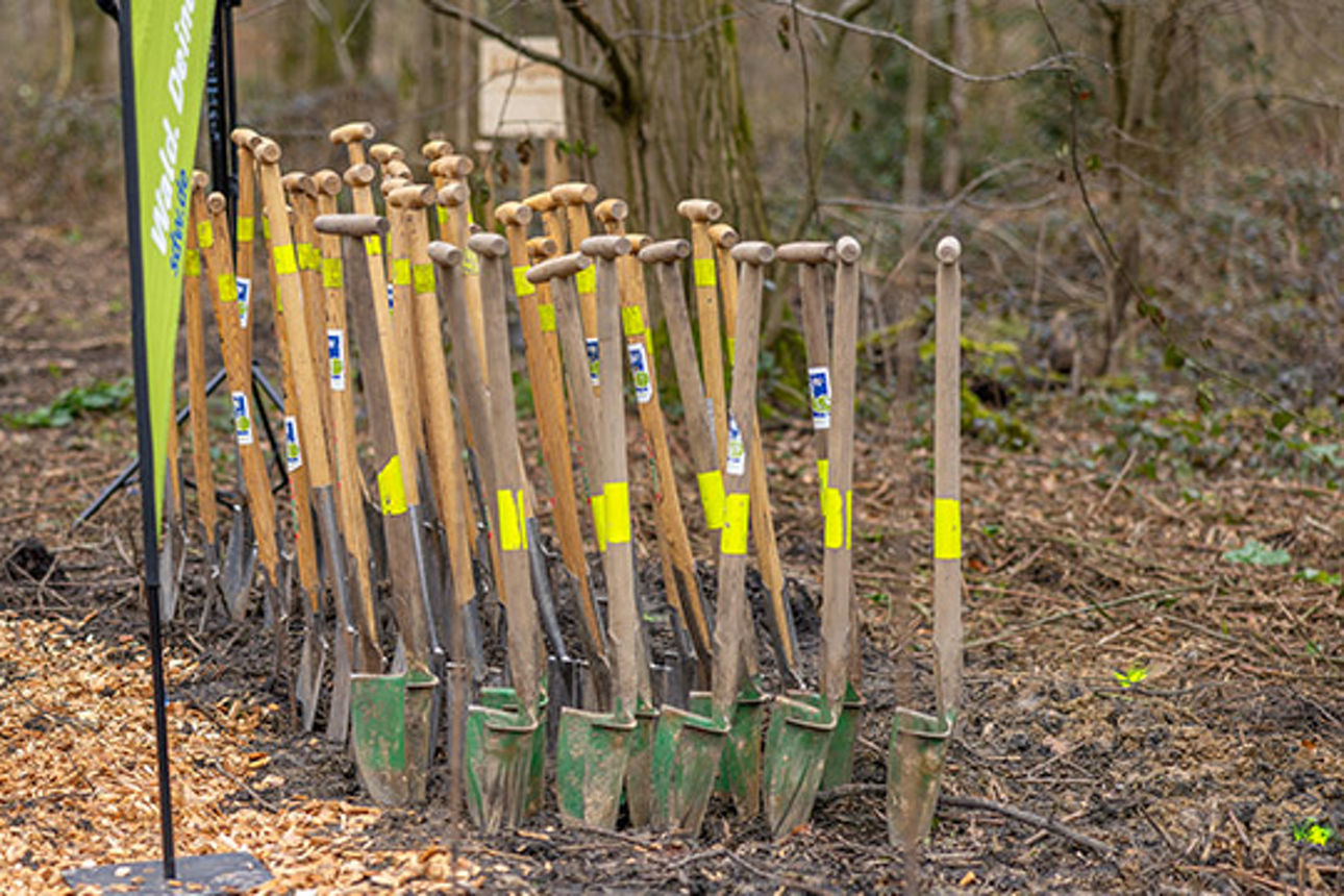 Baumpflanzaktion in CR Bladenhorster Busch_00002