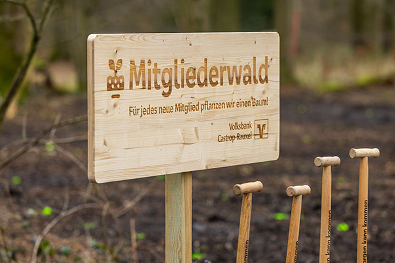 Baumpflanzaktion in CR Bladenhorster Busch_00005