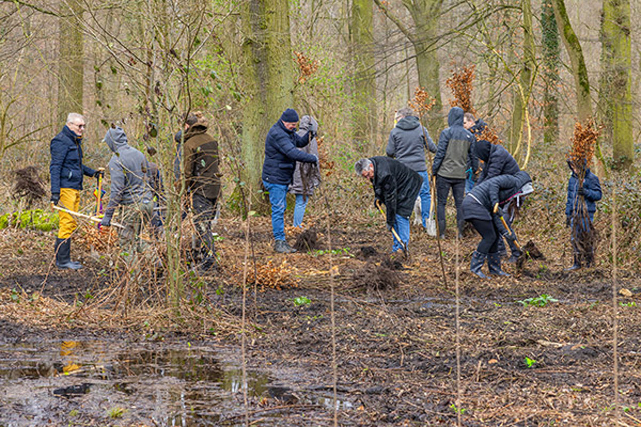 Baumpflanzaktion in CR Bladenhorster Busch_00043