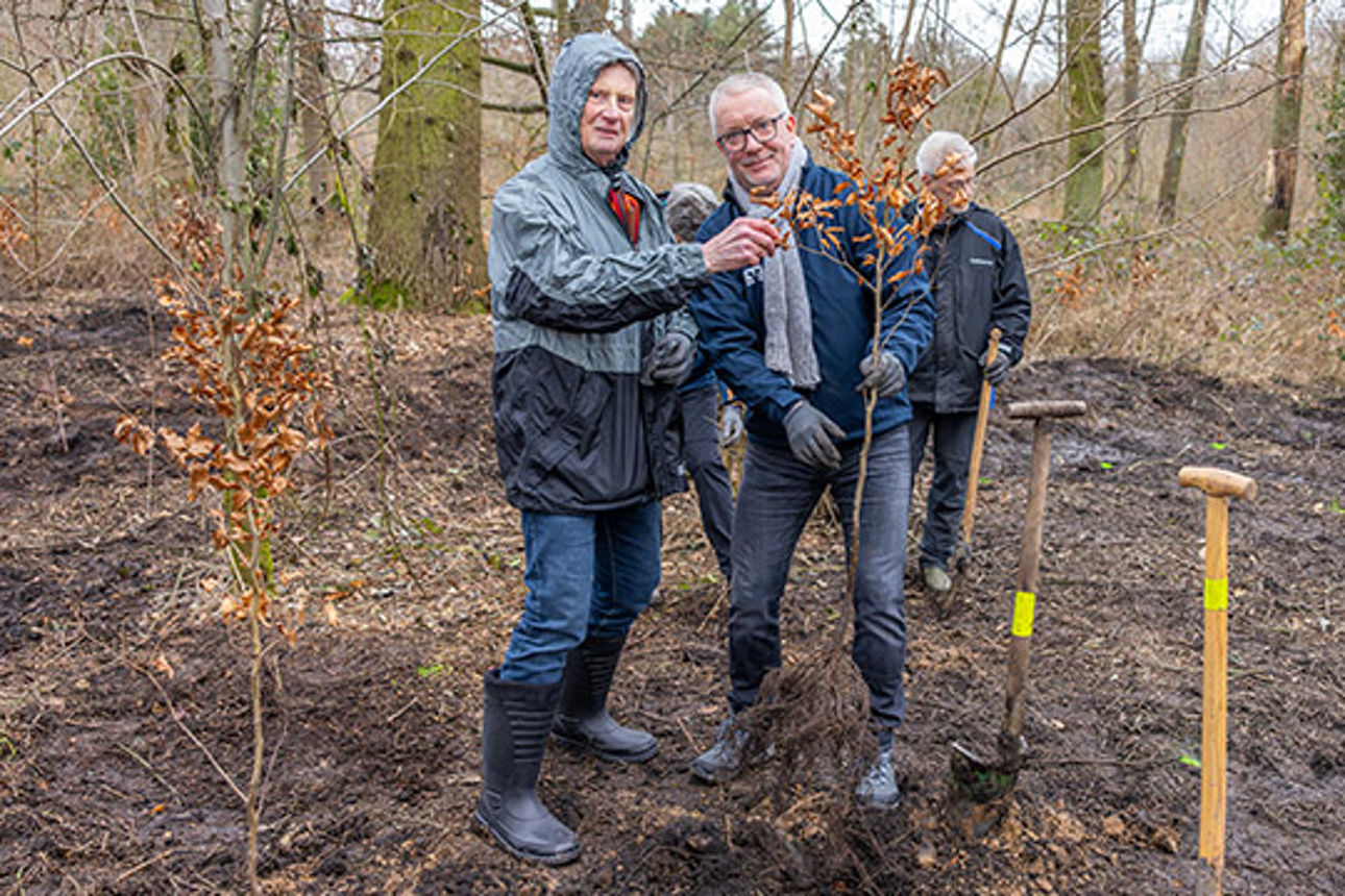 Baumpflanzaktion in CR Bladenhorster Busch_00083