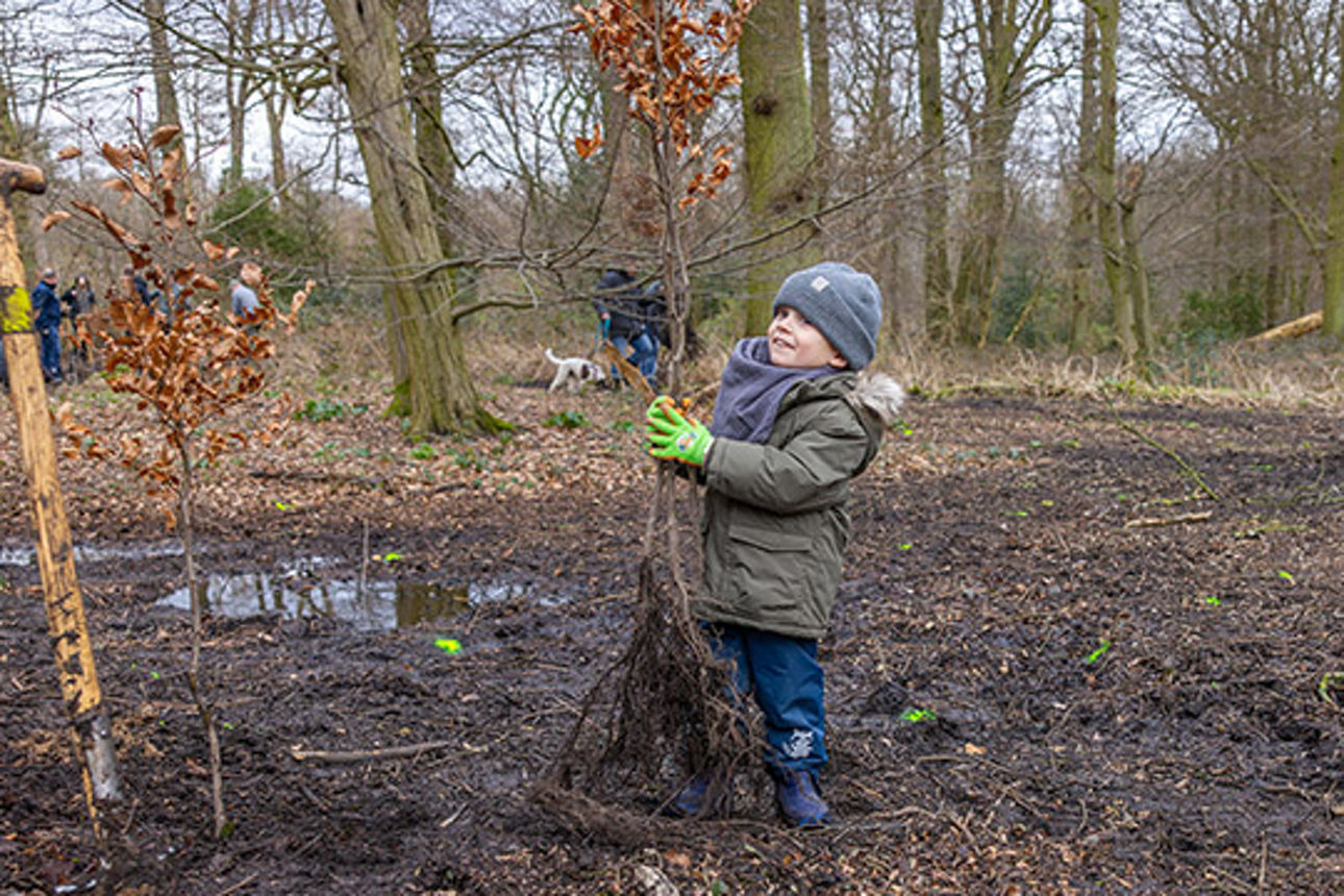 Baumpflanzaktion in CR Bladenhorster Busch_00122
