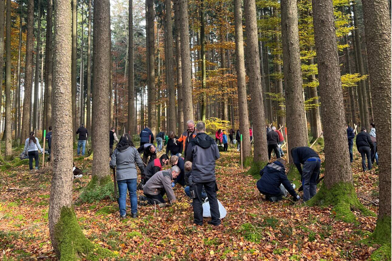 Menschen, die im Wald Bäume pflanzen