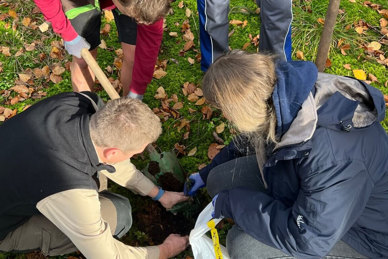 Zwei Menschen, die gerade einen Setzling in die Erde pflanzen