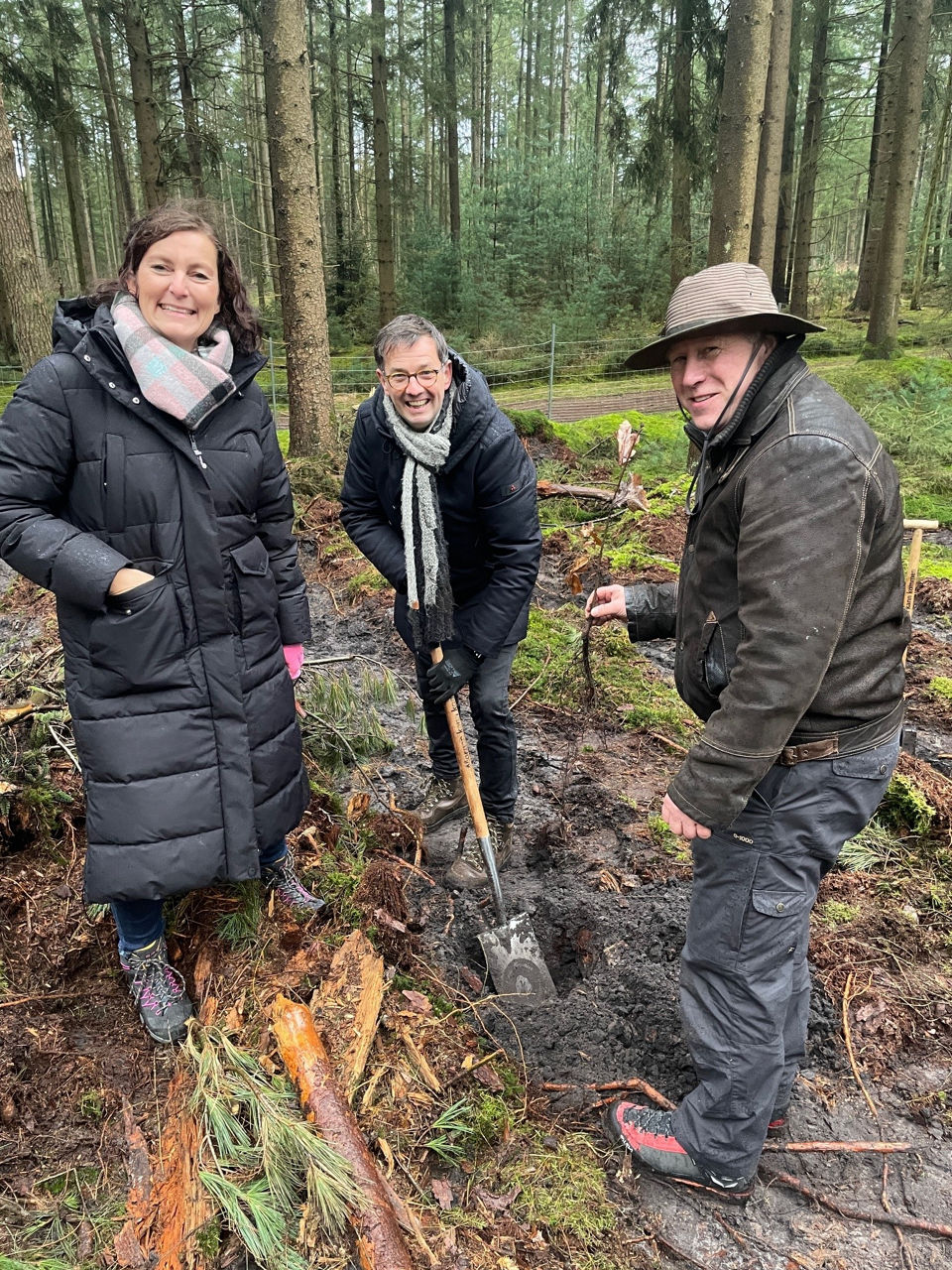 Marketing, Vorstand und technischer Dienst pflanzen gemeinsam Bäume im Wald.