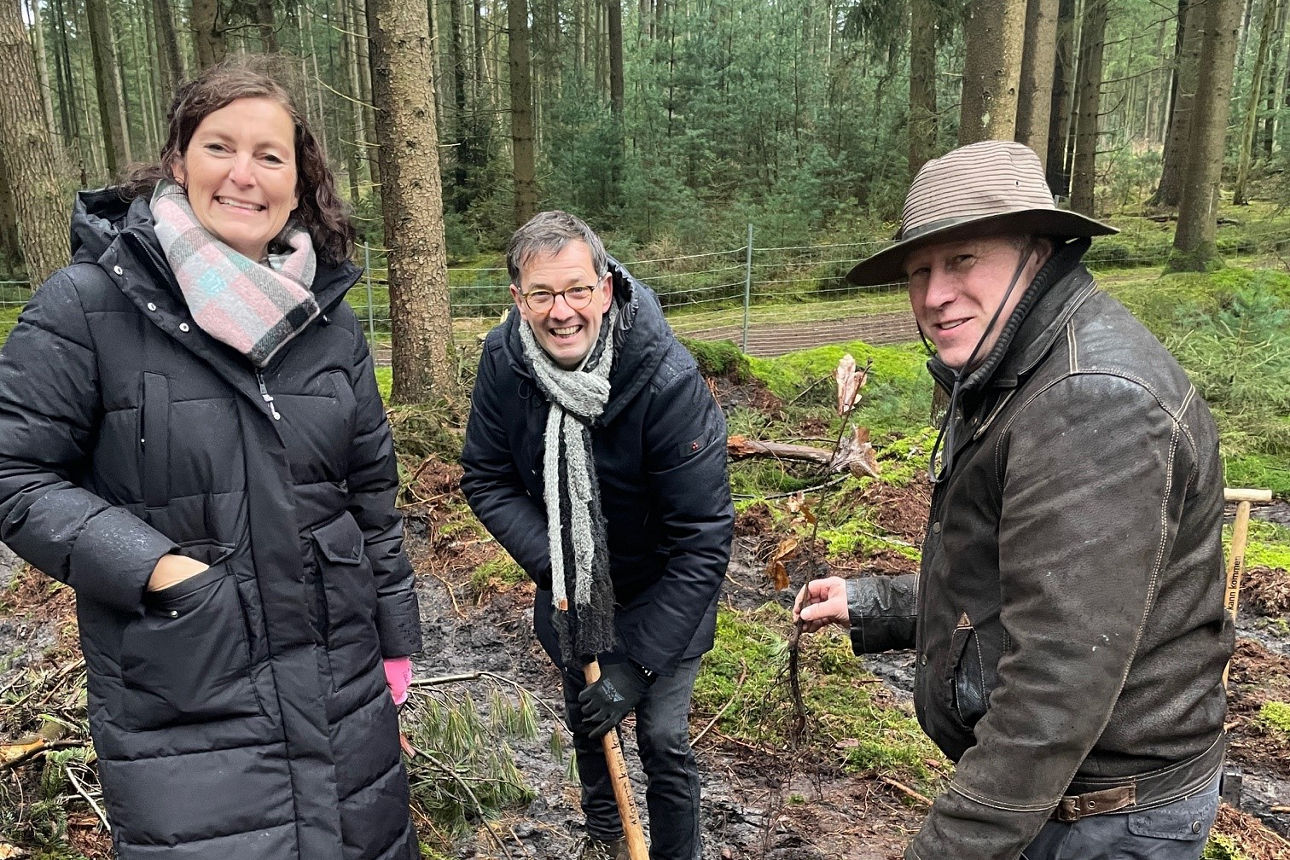 Marketing, Vorstand und technischer Dienst pflanzen gemeinsam Bäume im Wald.