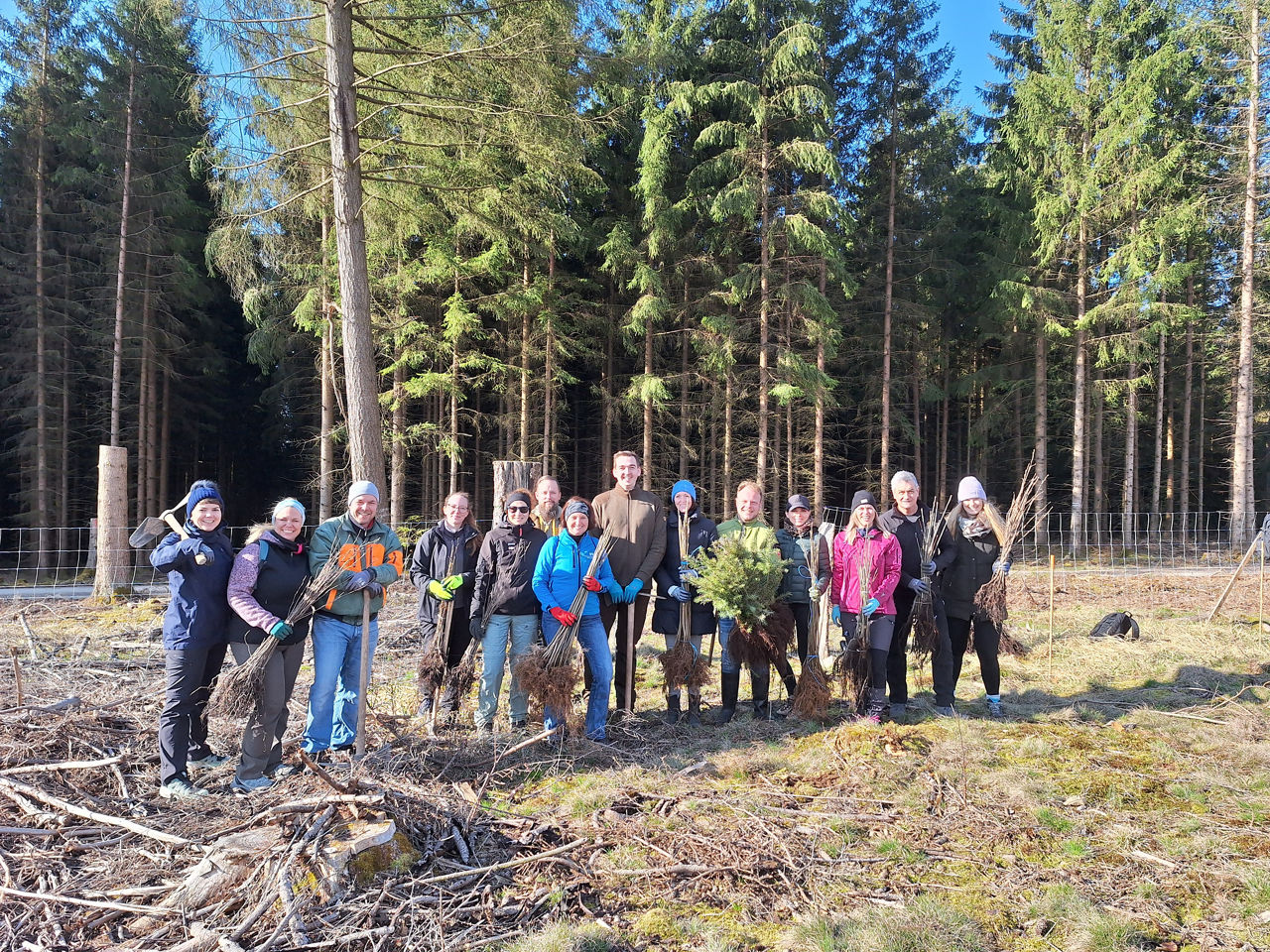 Die Führungskräfte der Bank stehen im Wald bei der Baumpflanzaktion