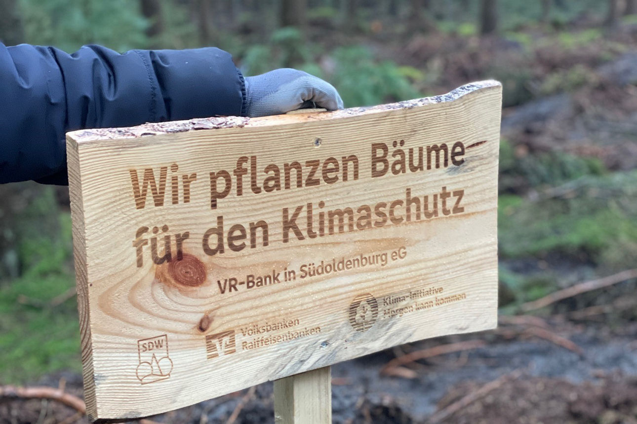 Mitarbeiter hält das Holzschild fest auf dem steht "Wir pflanzen Bäume für den Klimaschutz"