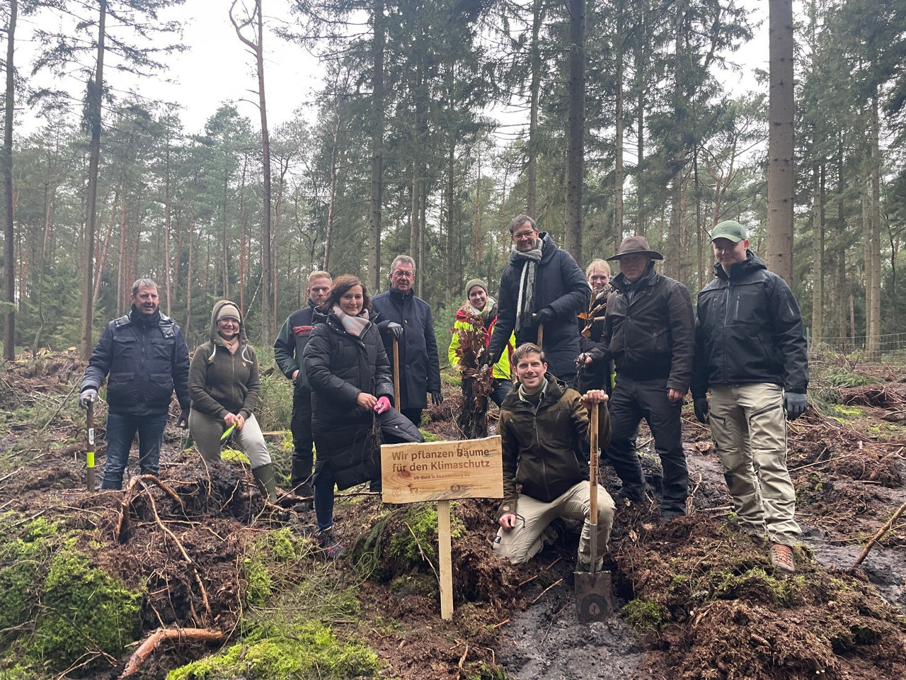 Mitarbeitene der Bank pflanzen Setzlinge im Wald