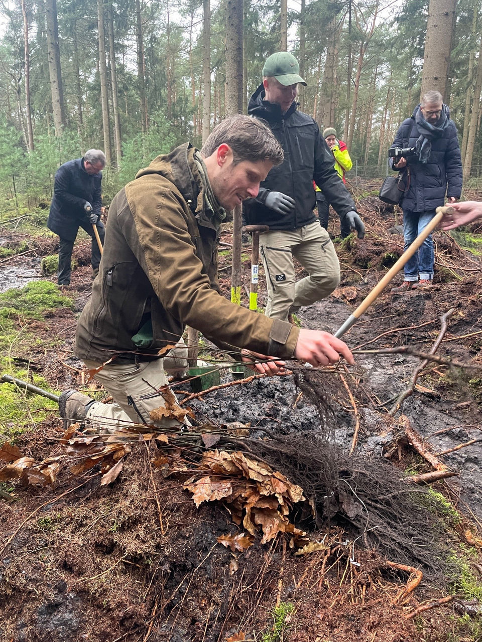 Mann pflanzt Setzling im Wald. Im Hintergrund sind viele Menschen zu sehen, die helfen.
