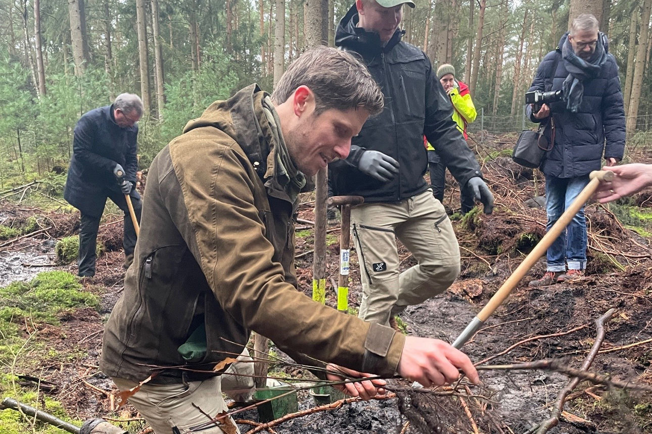 Mann pflanzt Setzling im Wald. Im Hintergrund sind viele Menschen zu sehen, die helfen.