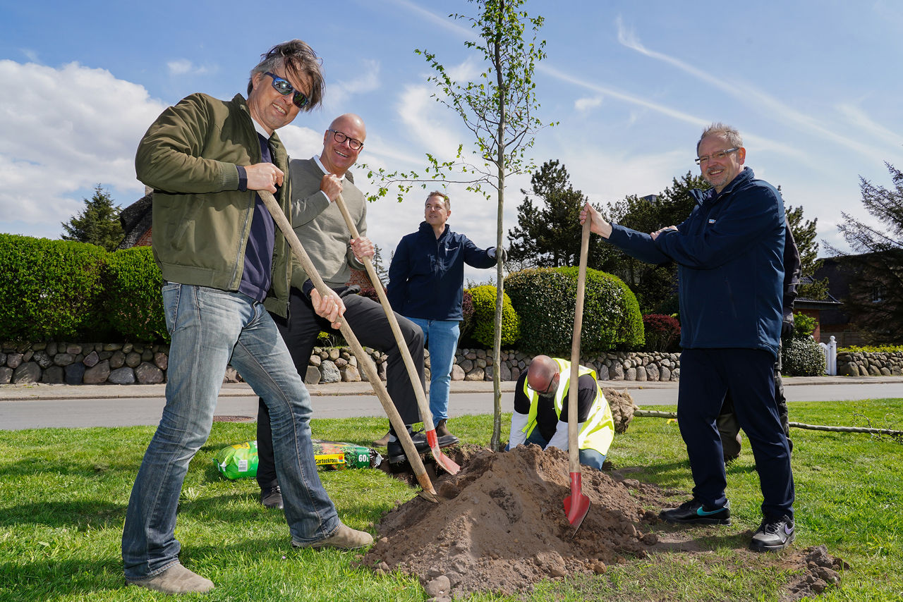 Mitarbeiter der Sylter Bank pflanzen einen Baum