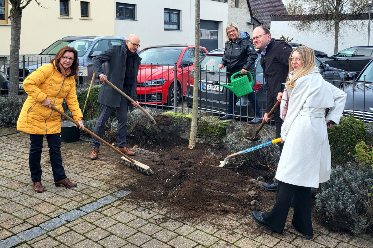 Baumpflanzchallenge 2025