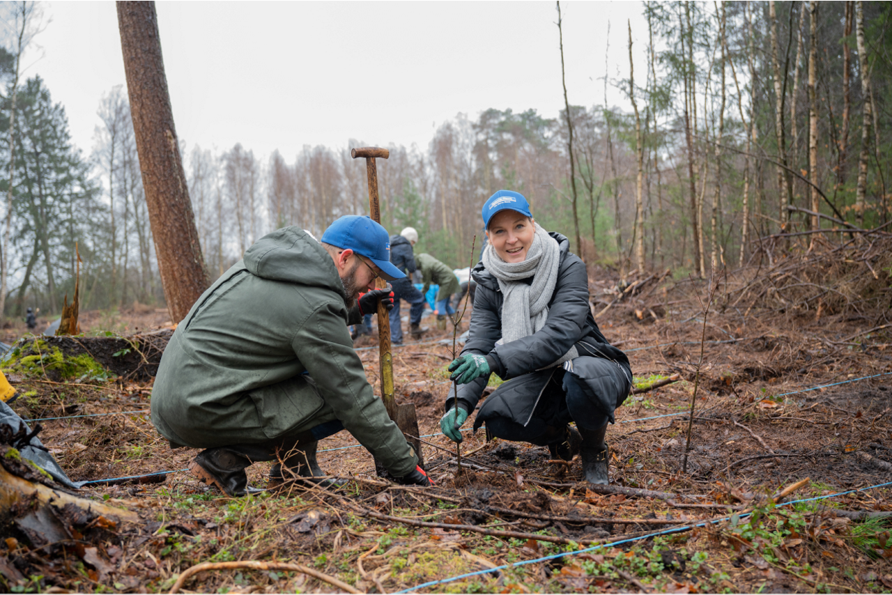 Zwei Personen pflanzen einen Baumsetzling