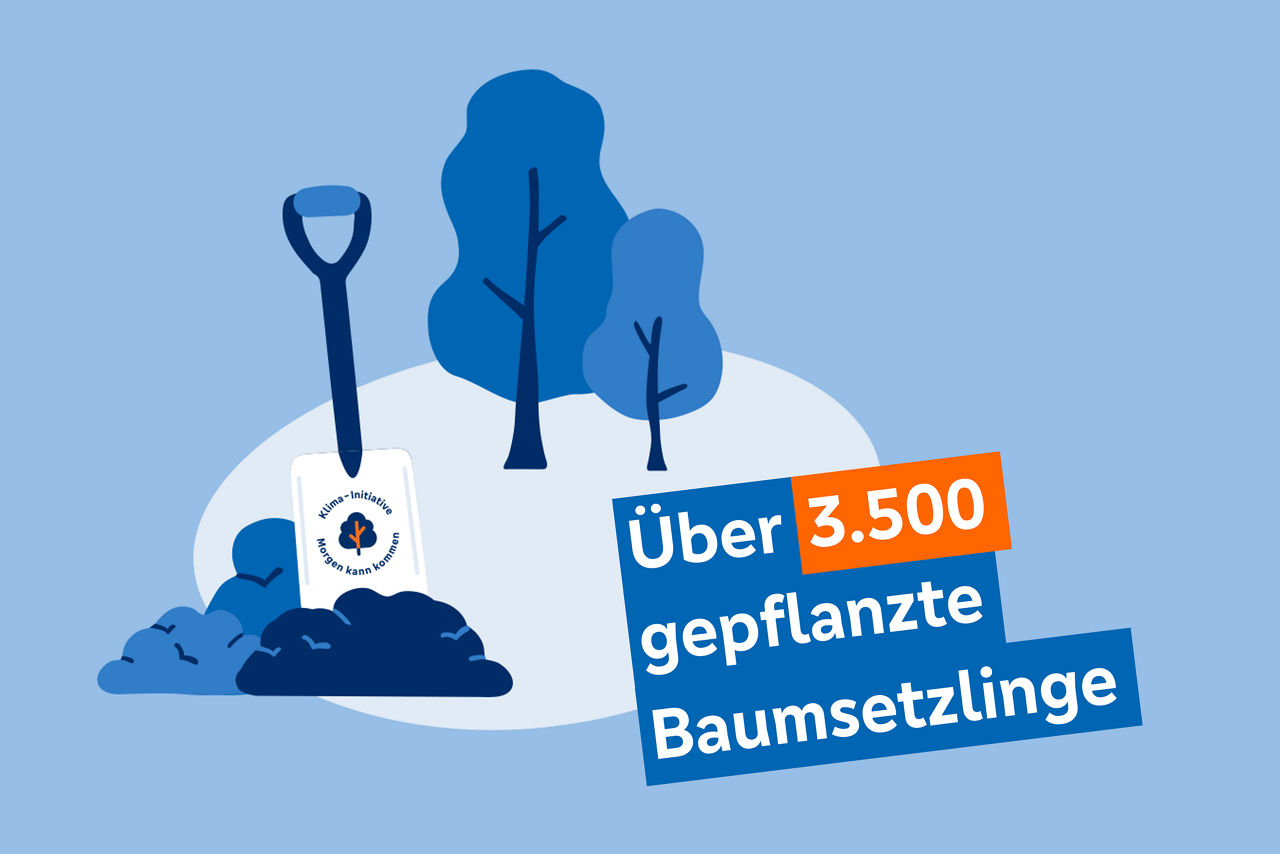 Illustration, die zeigt, wie viele Baumsetzlinge gepflanzt wurden