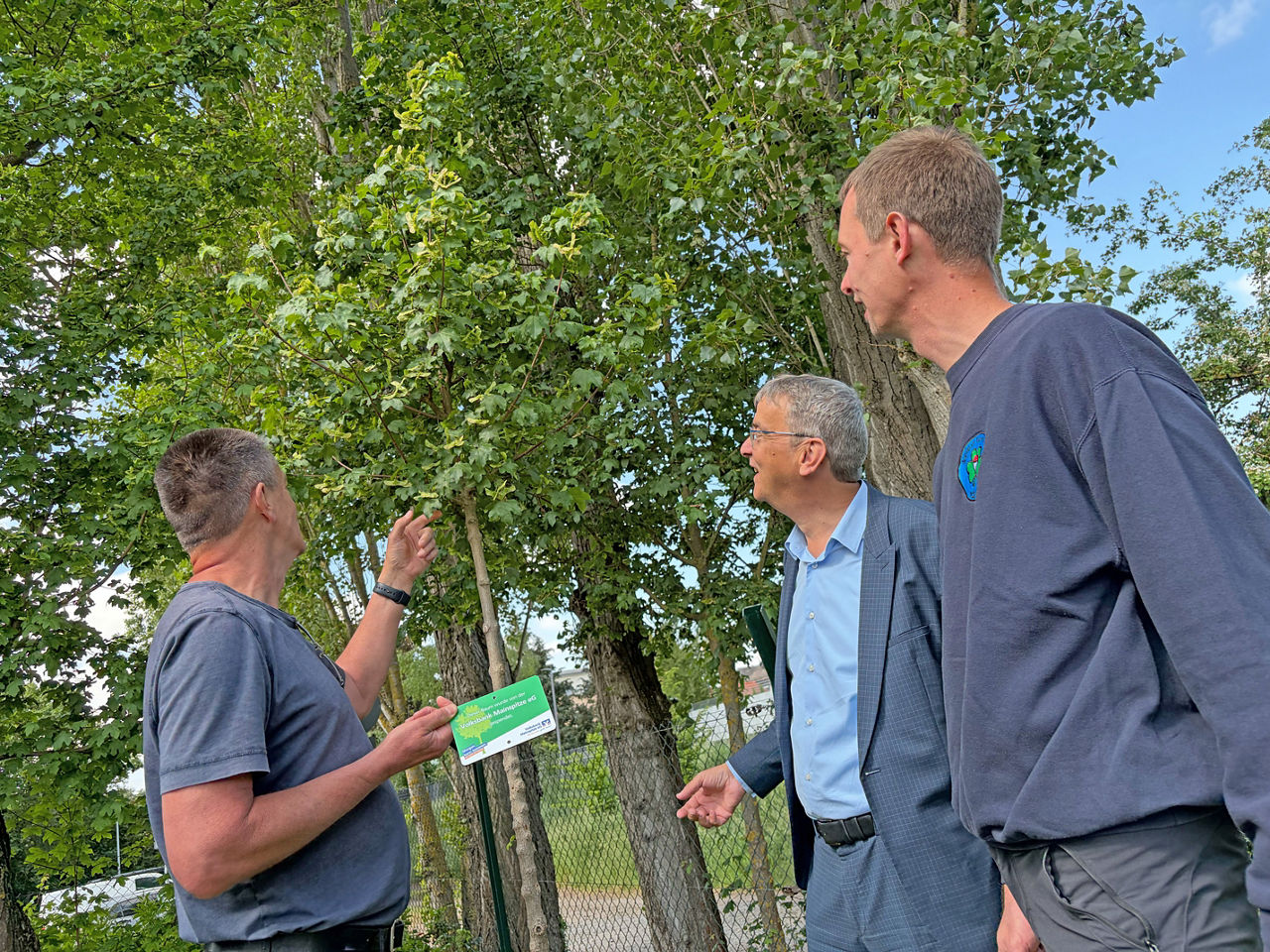 Drei Herren stehen vor Bäumen und schauen sich den neu gepflanzen Baum an