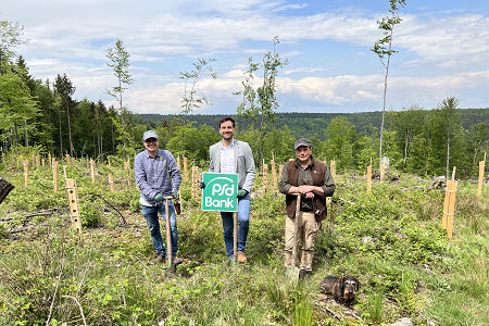 Baumspende Schutzgemeinschaft Wald