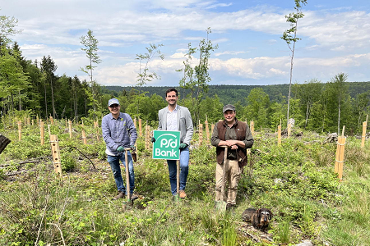 Baumspende Schutzgemeinschaft Wald