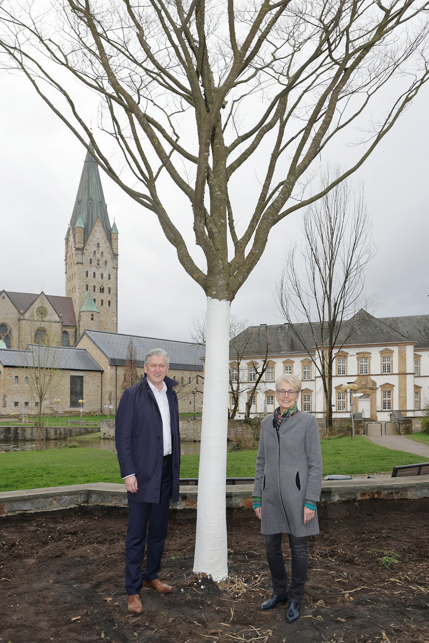 Erste Baumanpflanzung im Paderquellgebiet  