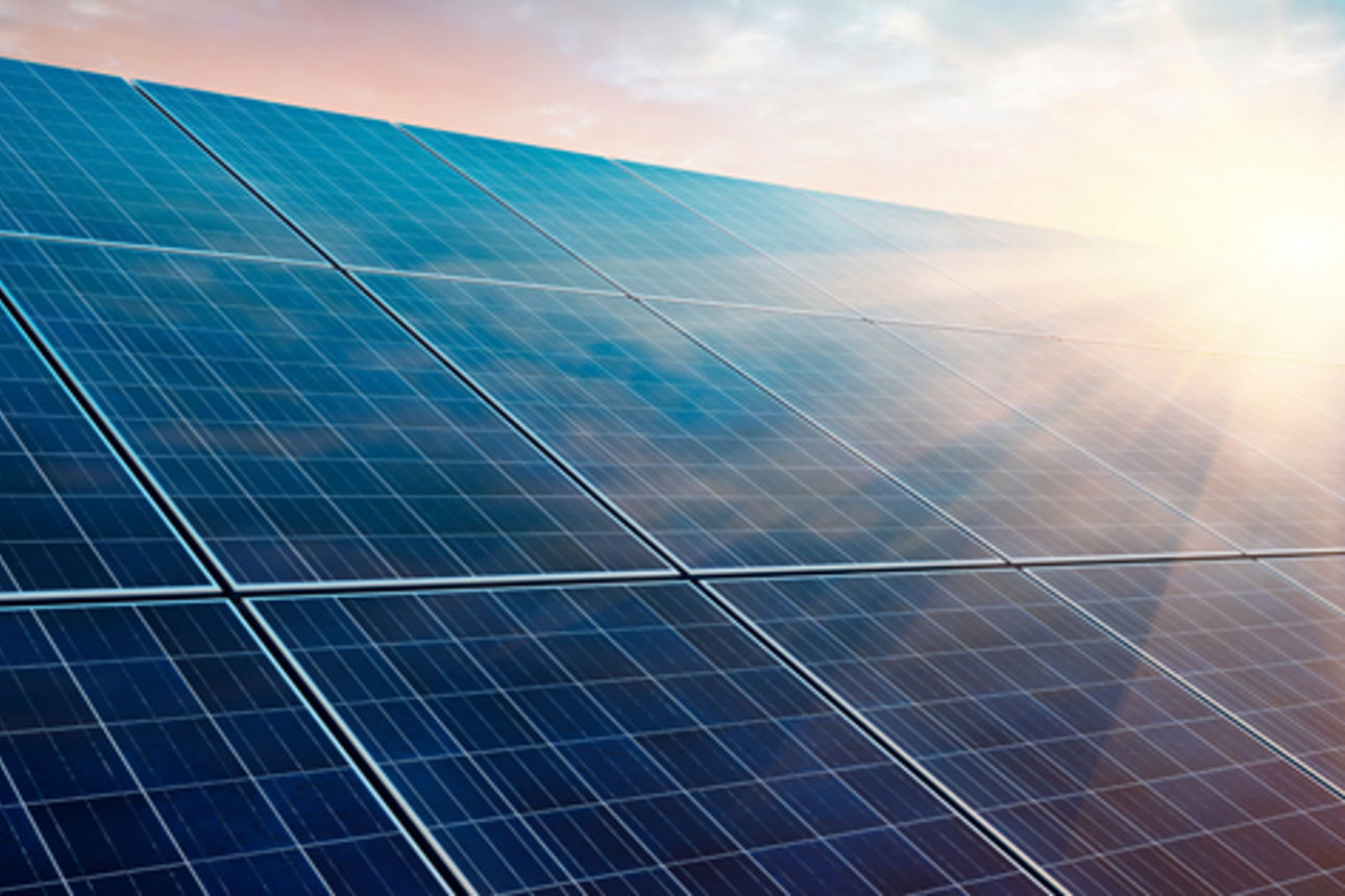 Bauorganisation und Immobilien