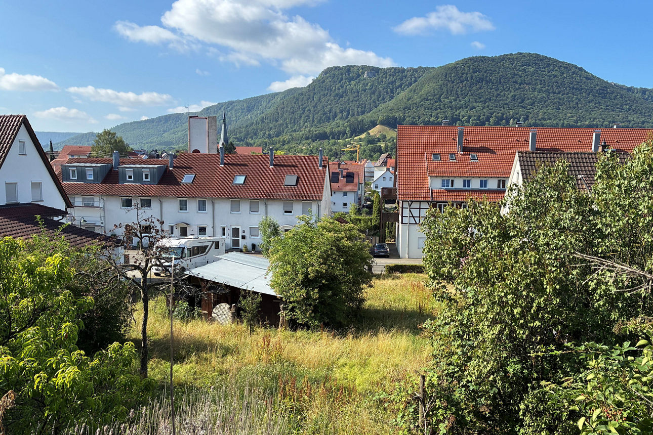 Idyllische Wohnlage mit roten Ziegeldächern, viel Grün und bewaldeten Bergen im Hintergrund.