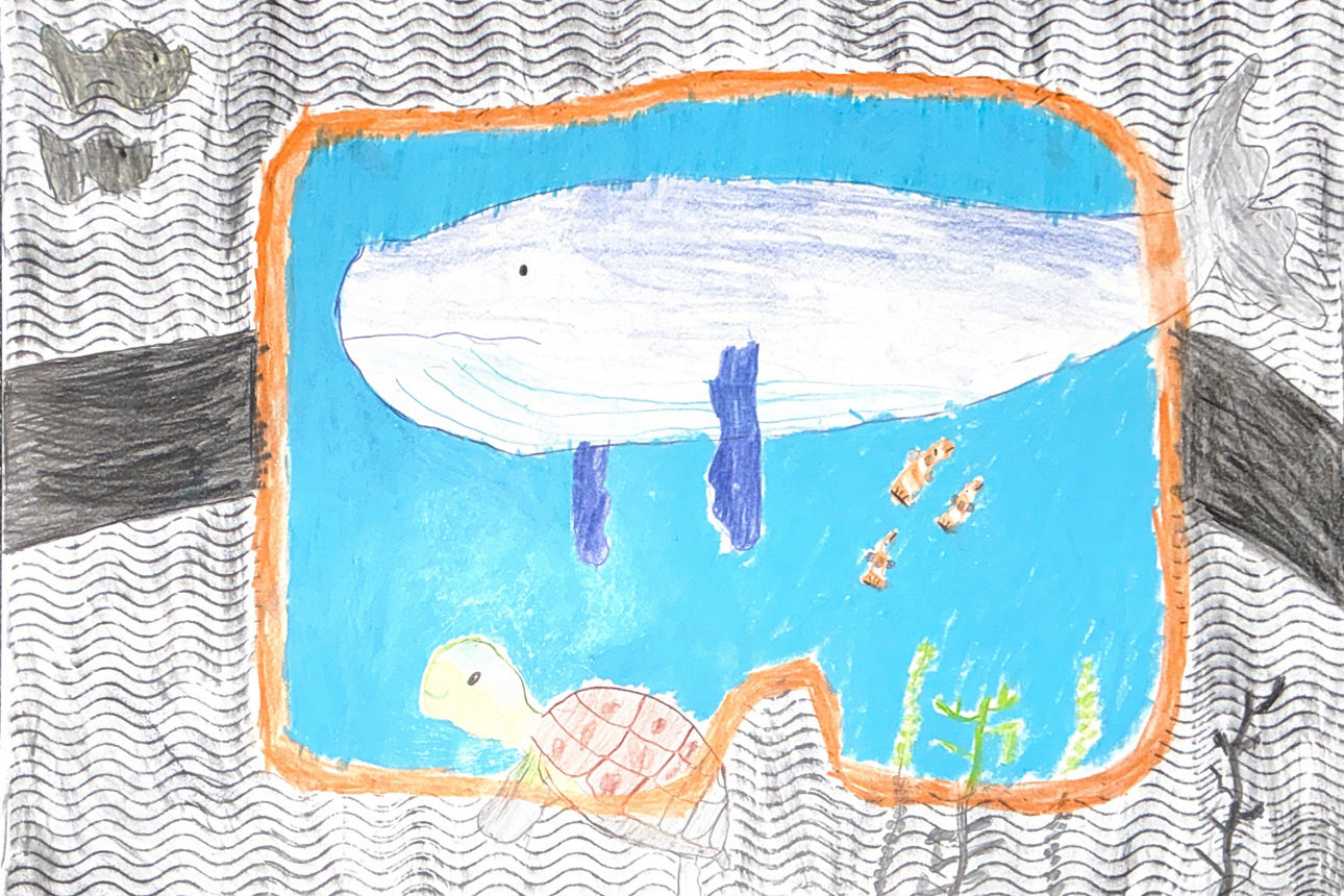 Auf einer Zeichnung ist ein großer Fisch durch eine Taucherbrille zu sehen