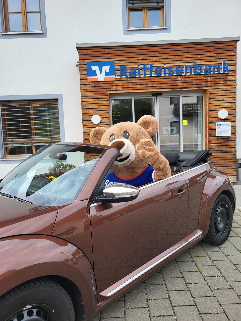 Das Bären-Bank-Maskottchen Beppo der Raiffeisenbank im Oberland sitzt auf dem Fahrersitz eines braunen VW-Käfers, und winkt. Das Im Hintergrund ist der Eingang einer Bankfiliale der Raiffeisenbank im Oberland zu sehen.