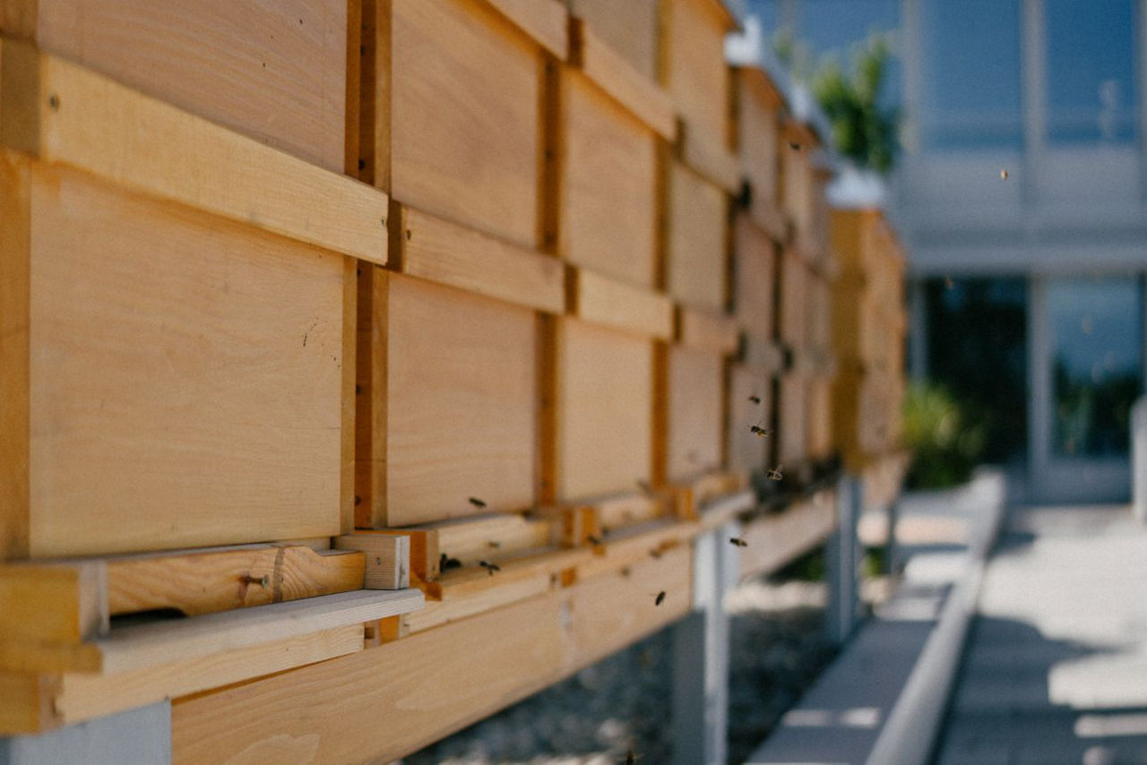 Bienenstöcke auf dem DonauTower