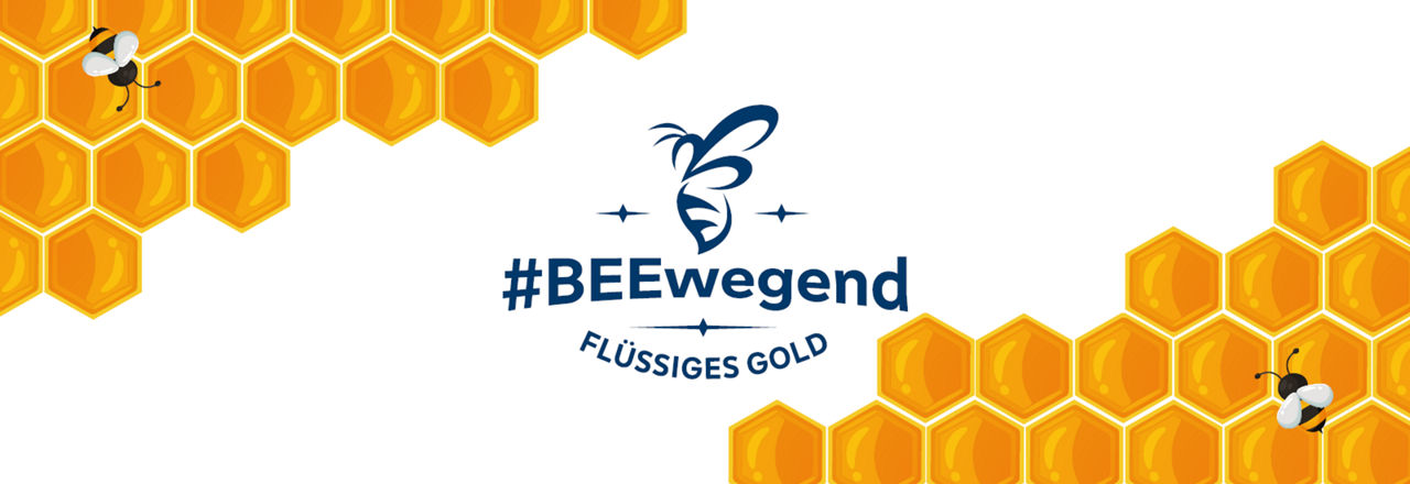 Titelbild de Bienenprojekts