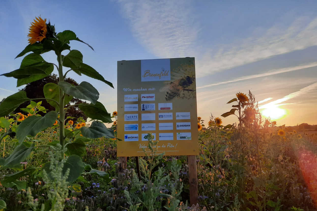 Kfz-Versicherung R+V