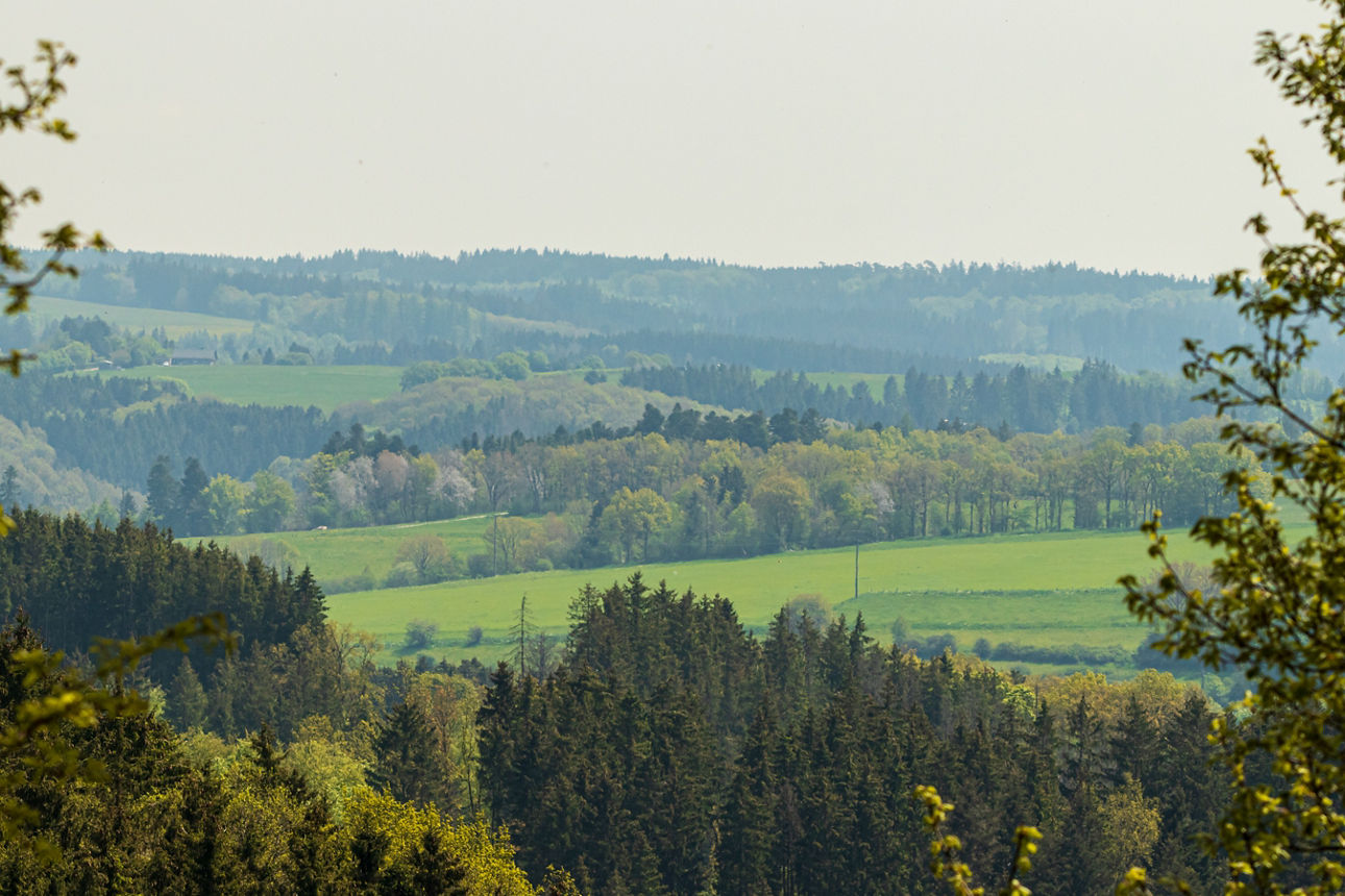 Blick in die Landschaft