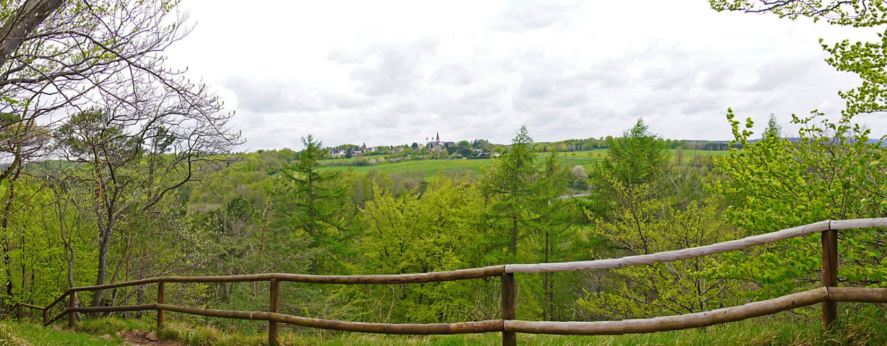 Blick auf Wald und Wiese