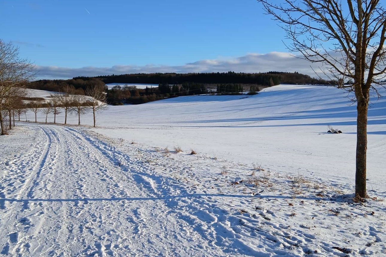 Eine Schneelandschaft, im Hintergrund sind Bäume und Hügel zu sehen.