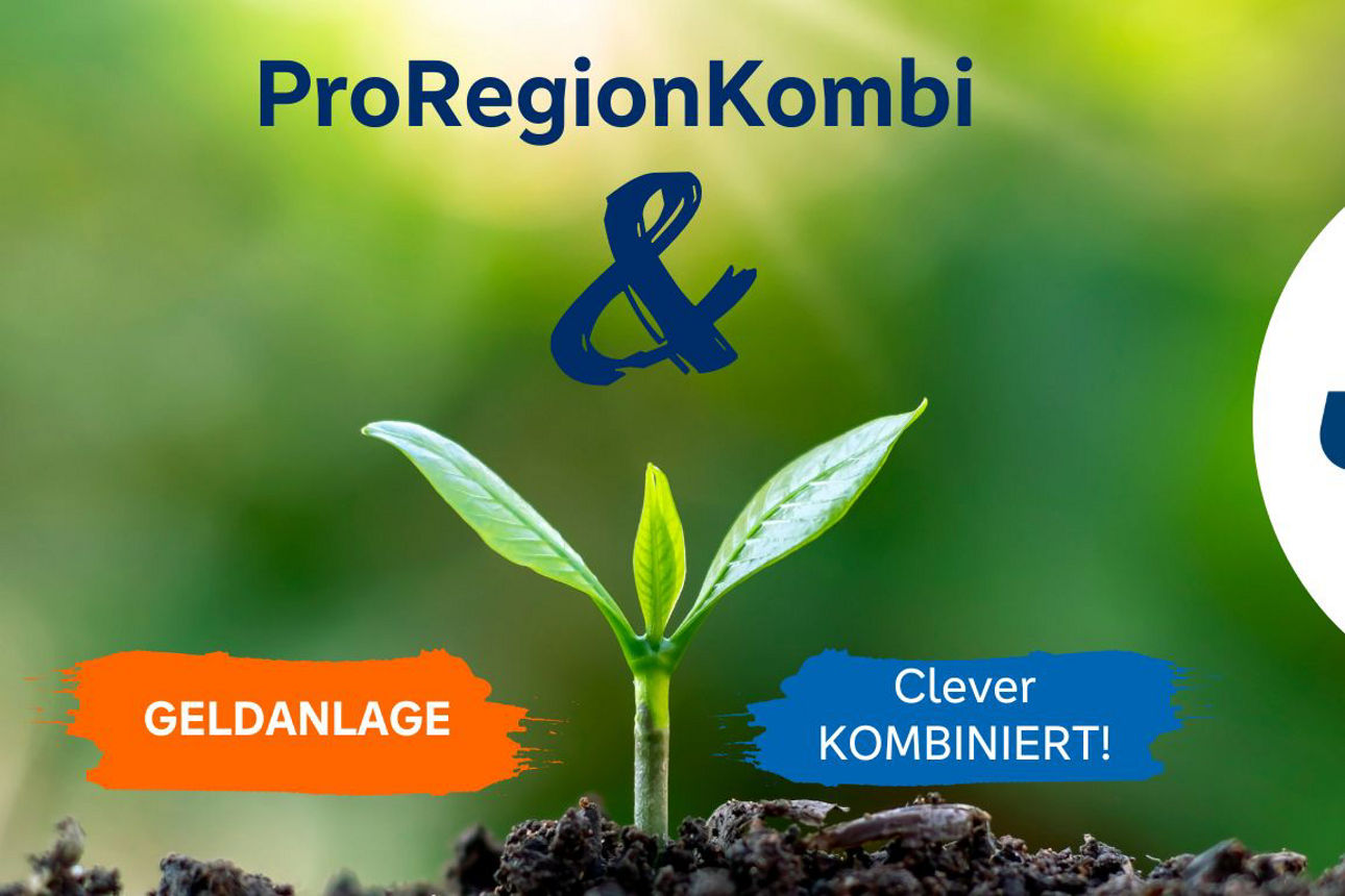 Bild von einem kleinen Keimling