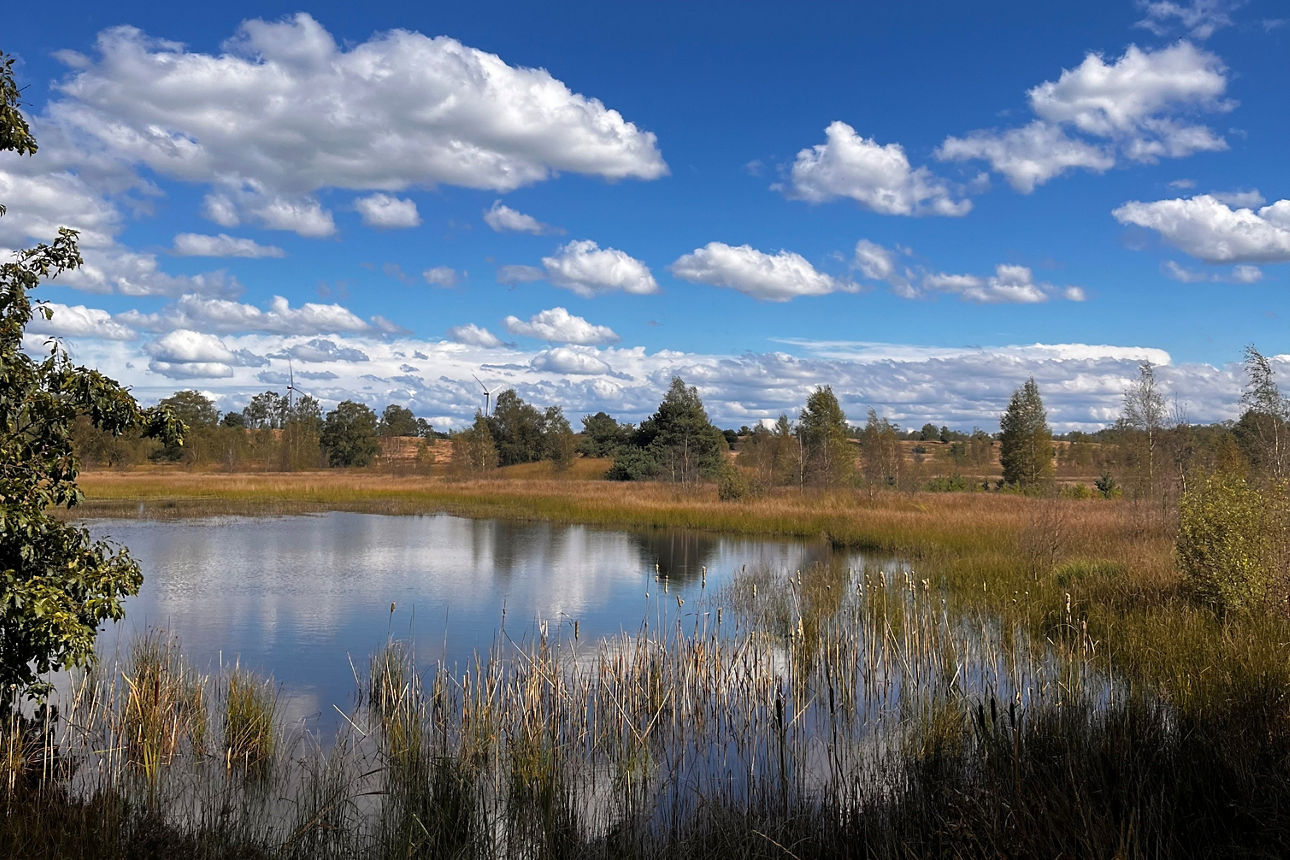 Ein See in einer Landschaft - gelegen in den Niederlanden.