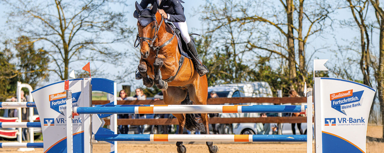 Sponsoring und Spenden Pferd mit Reiter springt über ein blau orangen Oxer
