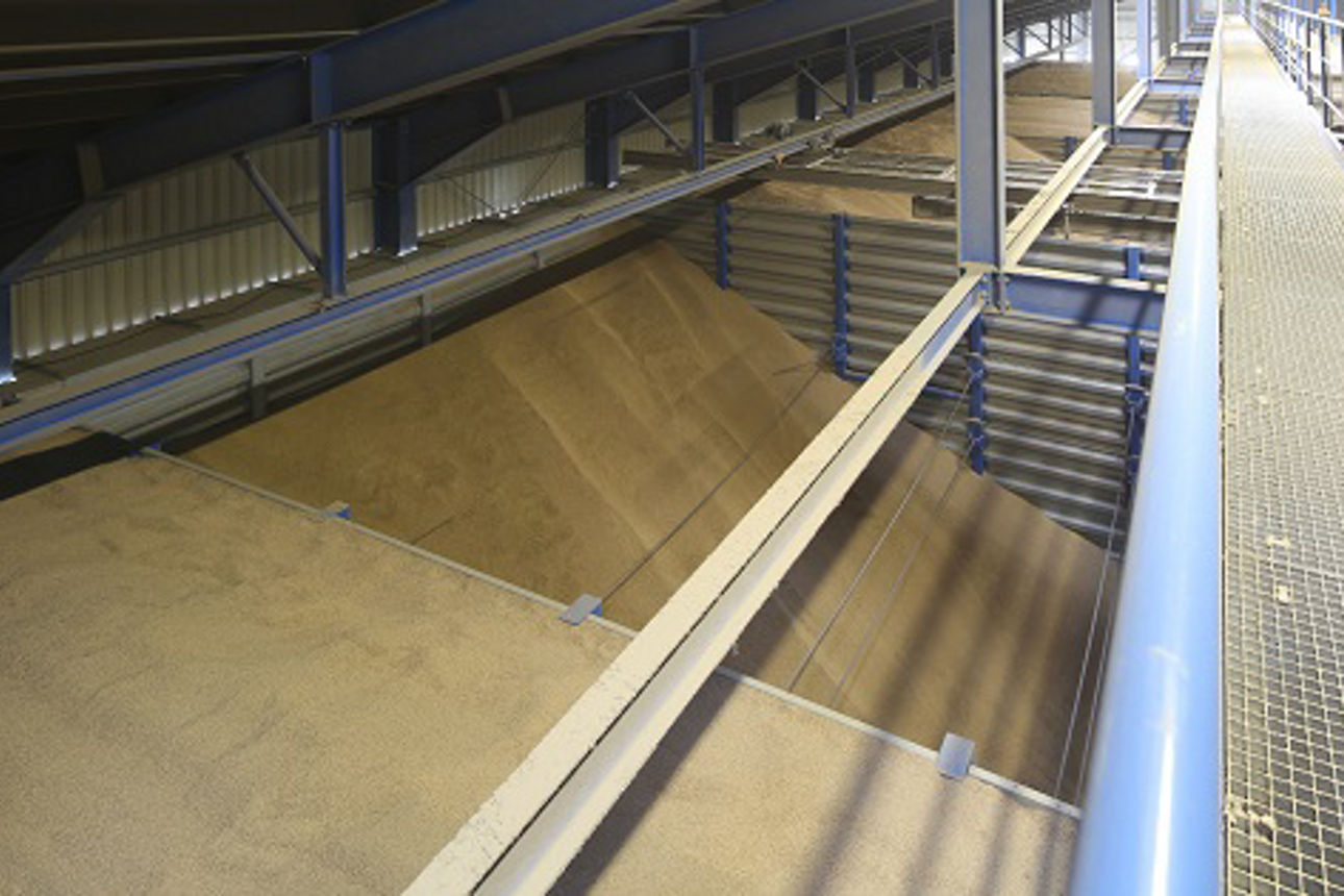 Ein langes Förderband, das Holzbretter auf Metallschienen in einer Industrieumgebung transportiert. 