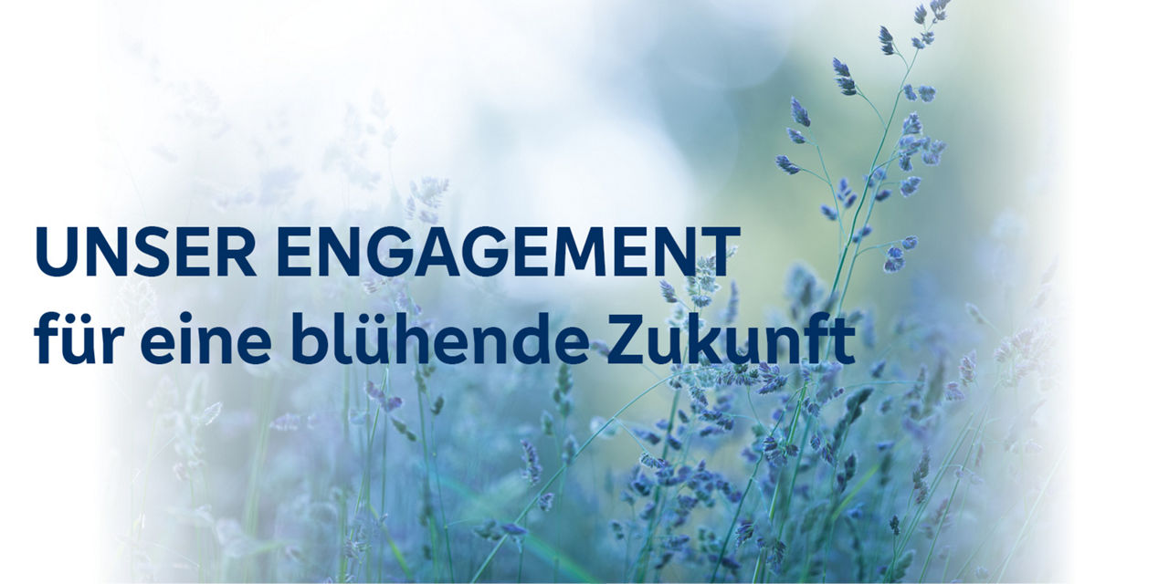 Bild mit Lavendel im Hintergrund und dem Spruch: "Unser Engagement für eine blühende Zukunft."