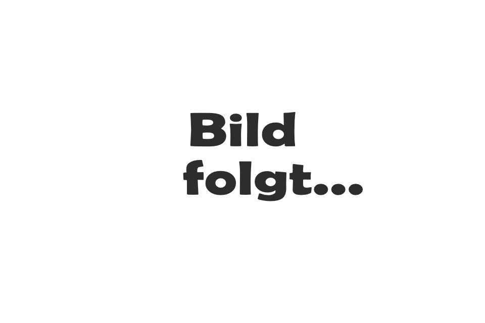 Foto unseres Vorstands
