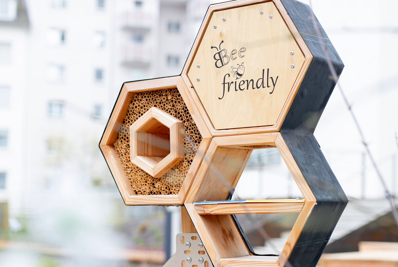 Neuer Dachgarten der VR Bank Rhein-Neckar