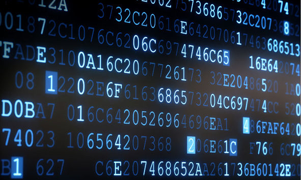 Vier Auszubildende vor einer Metaplanwand