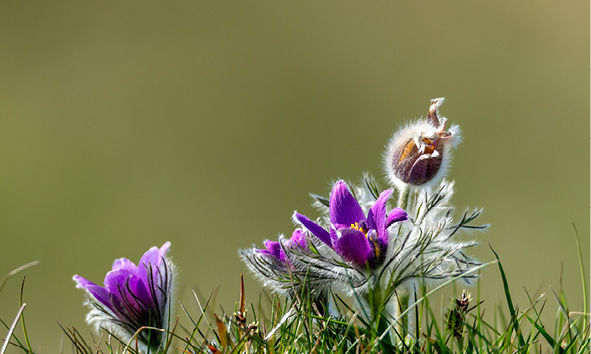 Vier Auszubildende vor einer Metaplanwand
