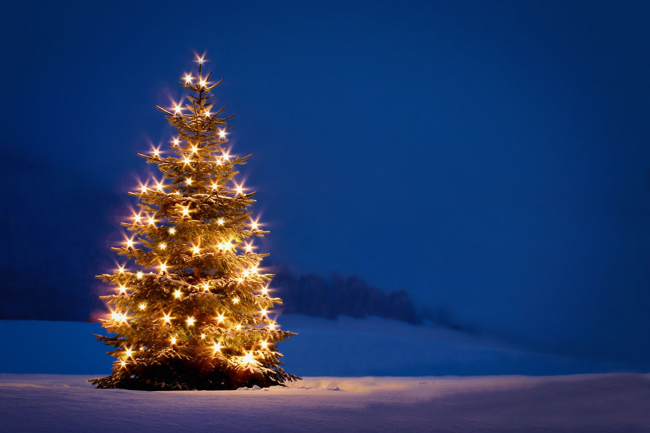 Beleuchteter Weihnachtsbaum vor winterlicher Landschaft