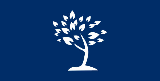 Bild mit Baum und Blätter