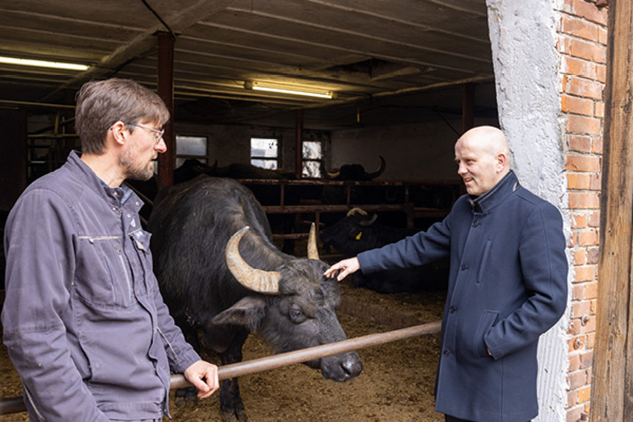 Biohof Eilte in Ahlden